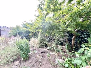 Garden- click for photo gallery